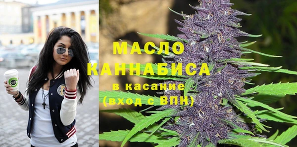 хмурый Сатка